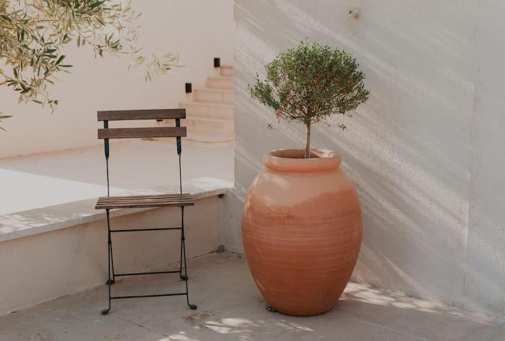 Terre Ugo - Studio Campagne Aixoise #6 Aix-en-Provence Exteriér fotografie