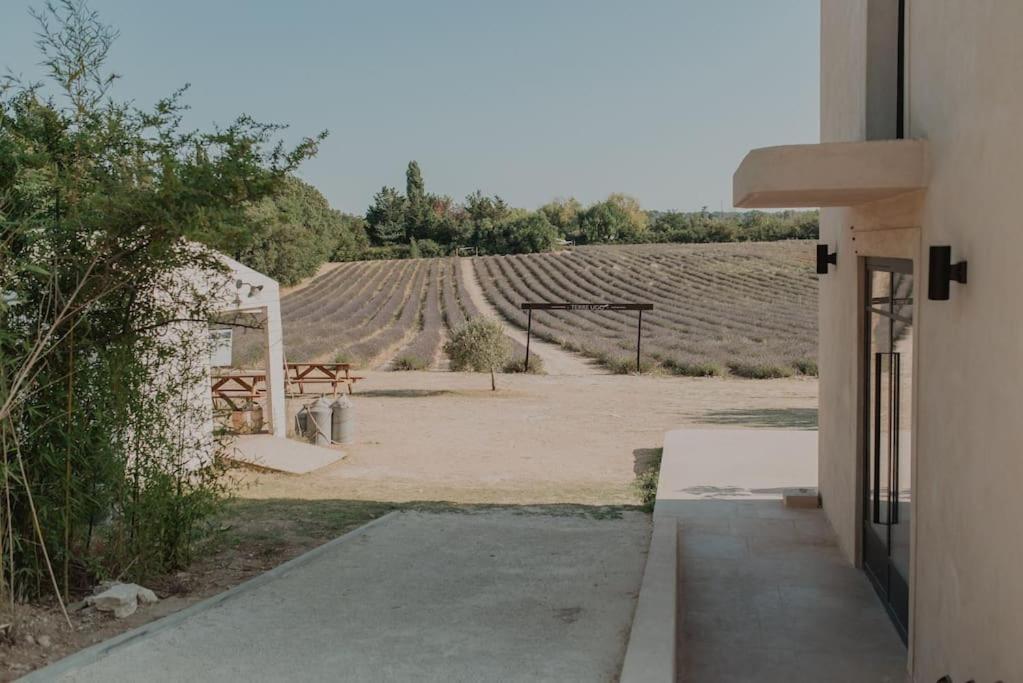 Terre Ugo - Studio Campagne Aixoise #6 Aix-en-Provence Exteriér fotografie