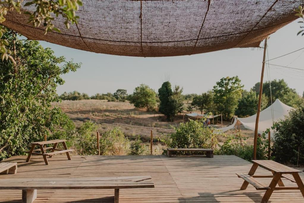 Terre Ugo - Studio Campagne Aixoise #6 Aix-en-Provence Exteriér fotografie